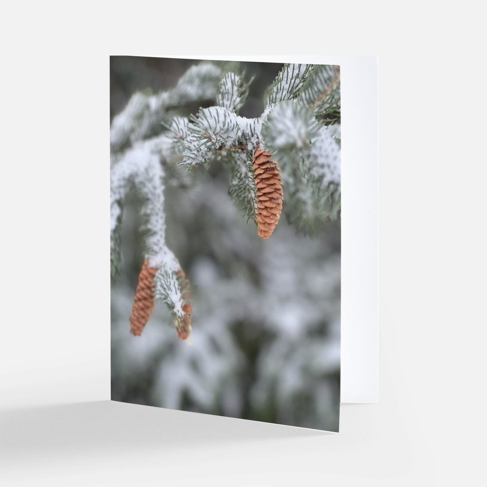 Pinecones -- Set of 8