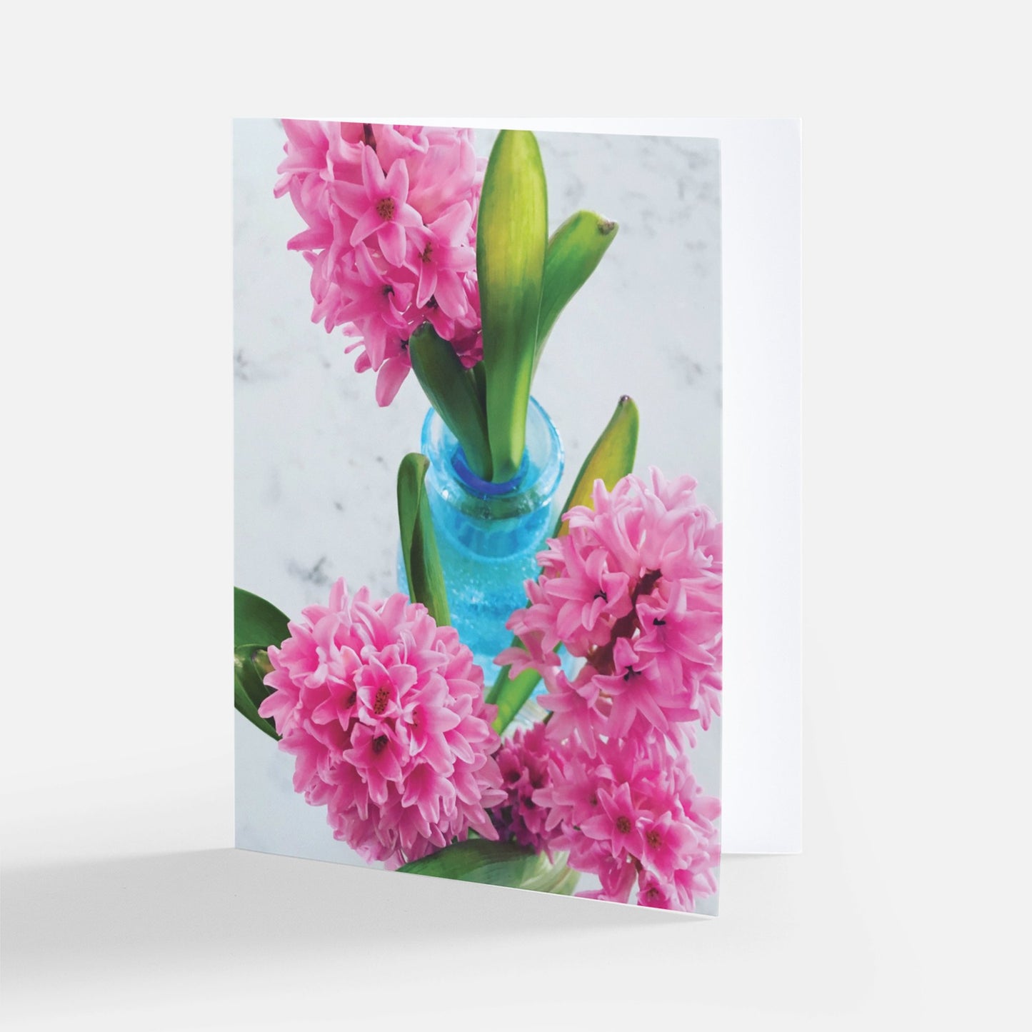 Hyacinths -- Set of 8