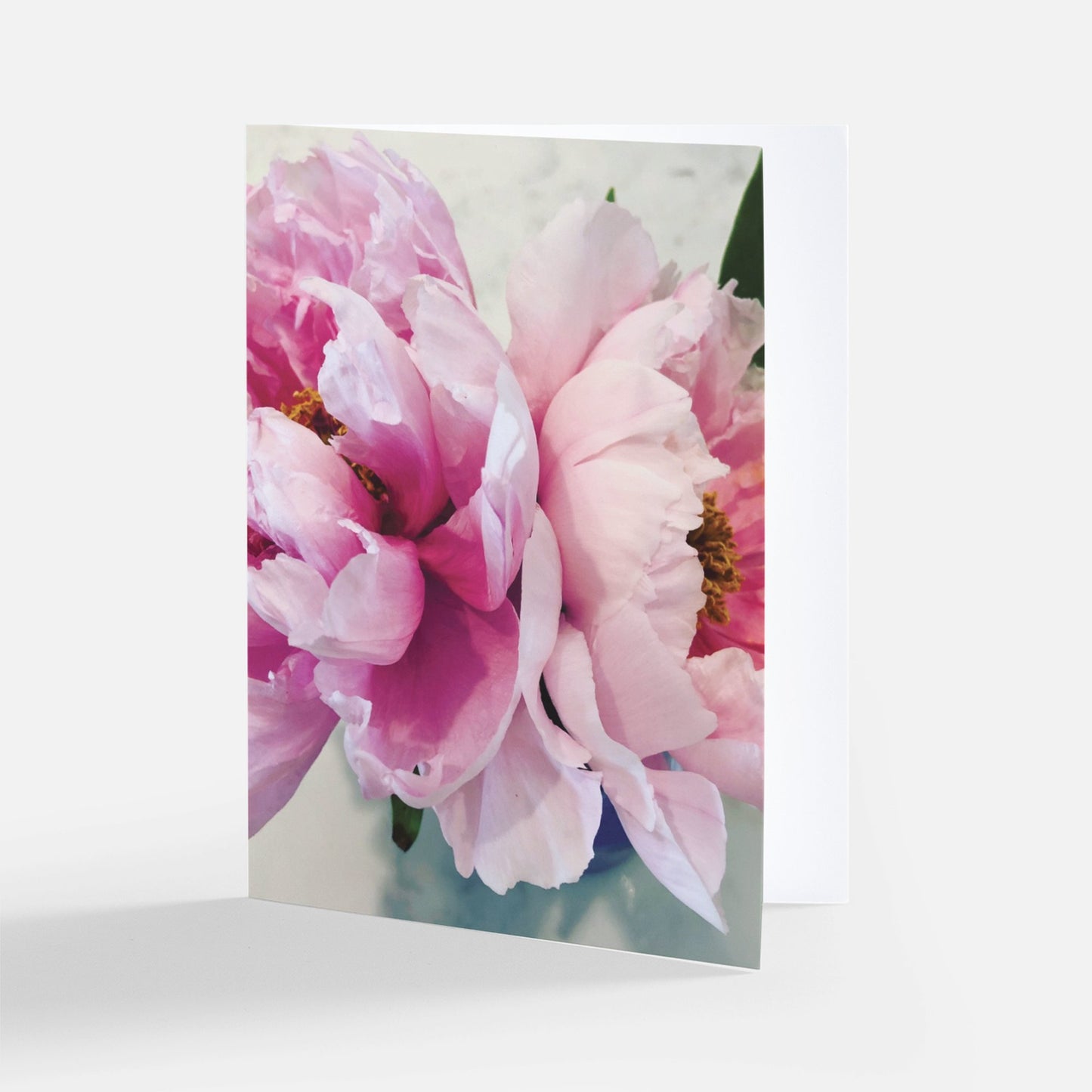 Peonies -- Set of 8