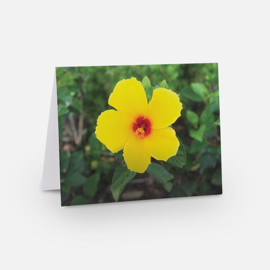 Yellow Hibiscus -- Set of 8